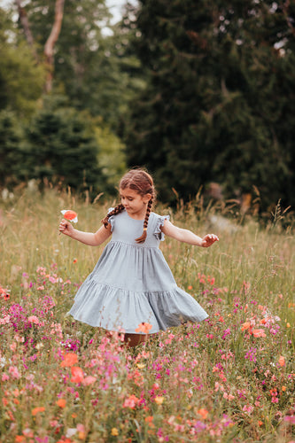 Isabelle Two Tier Ruffle Dress